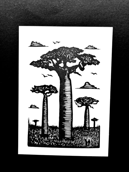 Baobab Trees