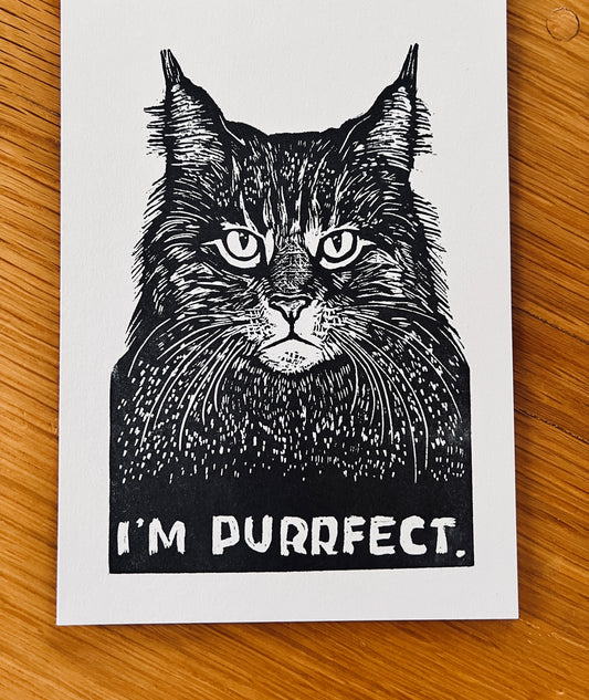 I’m Purrfect