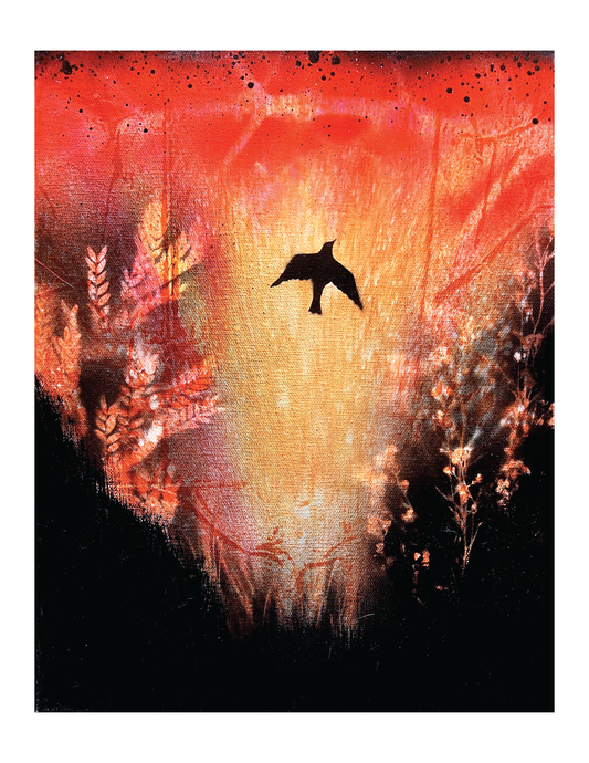 Swallow in Flight (8.5 x 11") color print