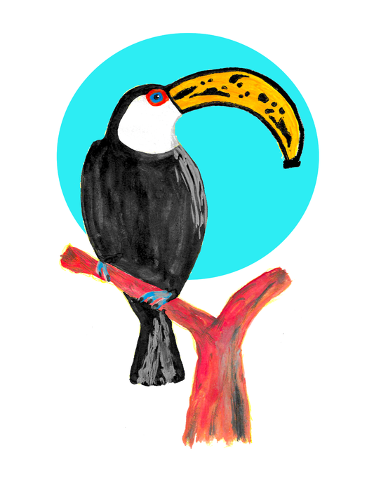 Toucanana (8.5 x 11") color print