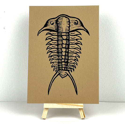 Trilobite "Tracy"