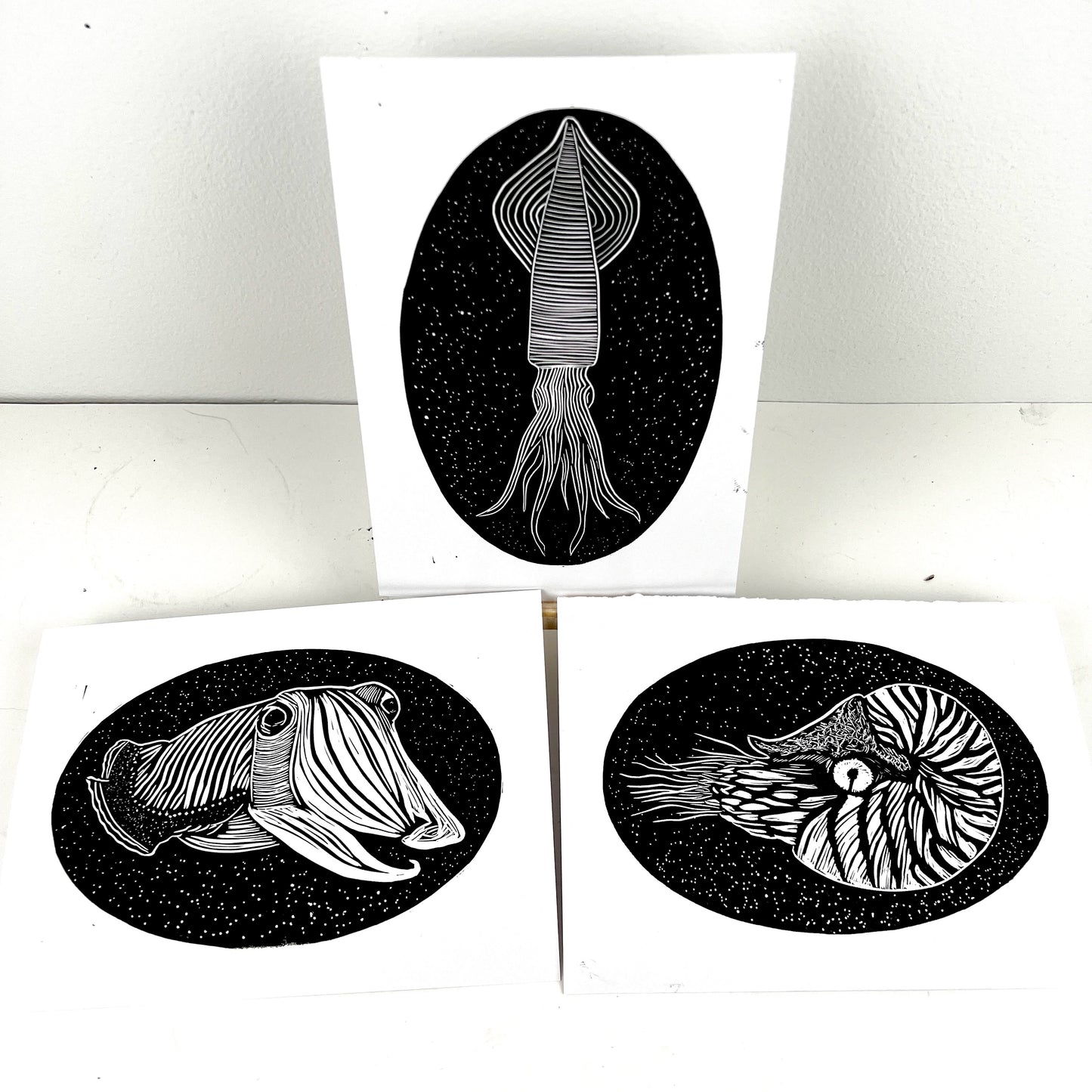 Sea Creature Triptych - Squid, Cuttlefish & Nautilus