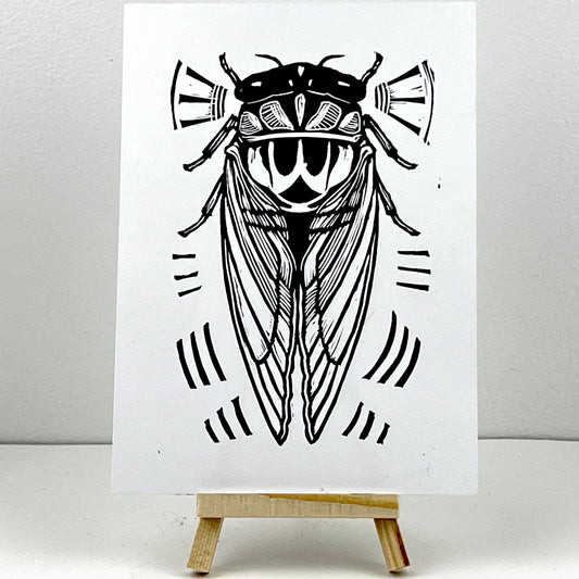 Cicada