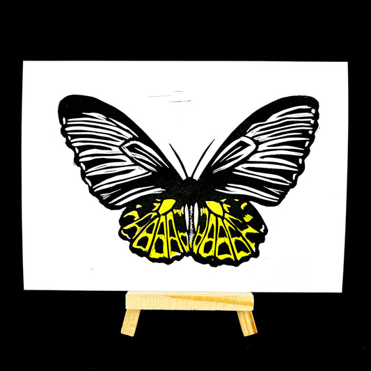 Golden Birdwing Butterfly