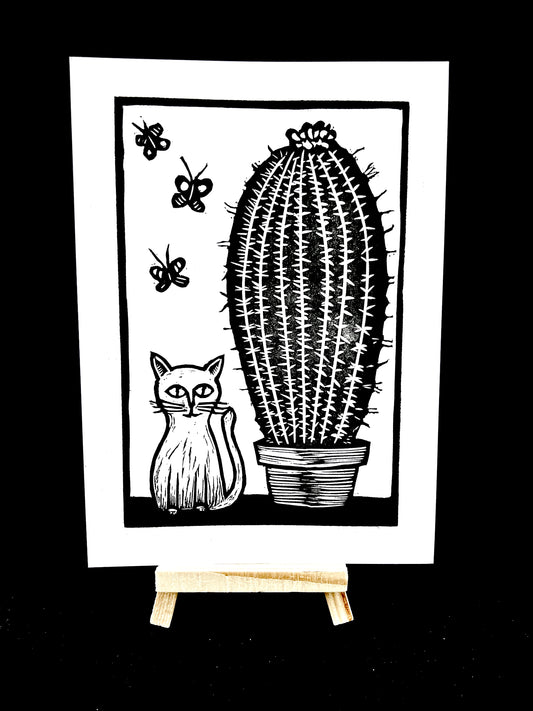 Kitty Cactus